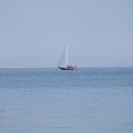 IMG_0222