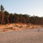 IMG_1956